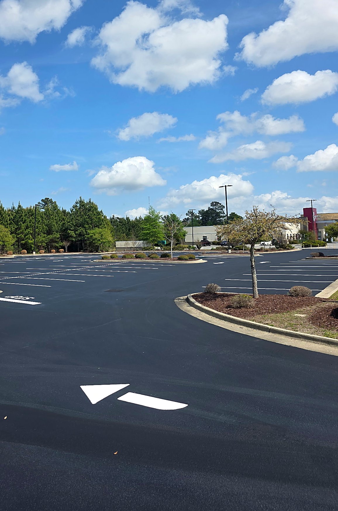 Freshly paved asphalt lot with crisp directional arrow striping in Charlotte, NC