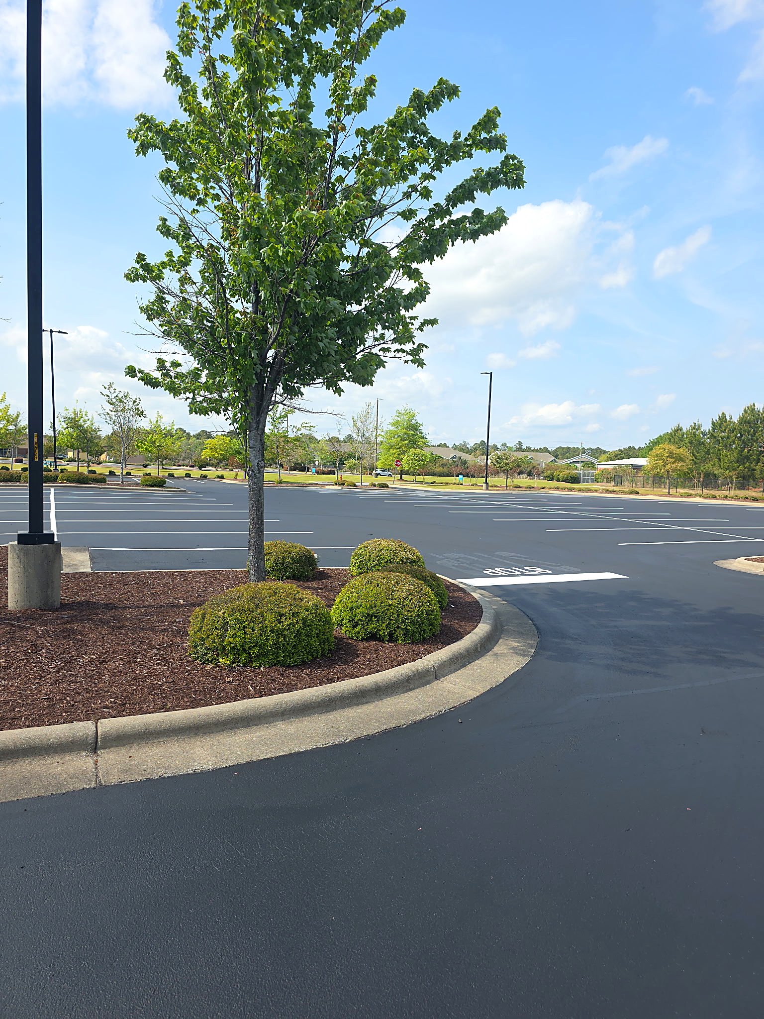 Crisp white line striping on a freshly paved parking lot in Concord, NC